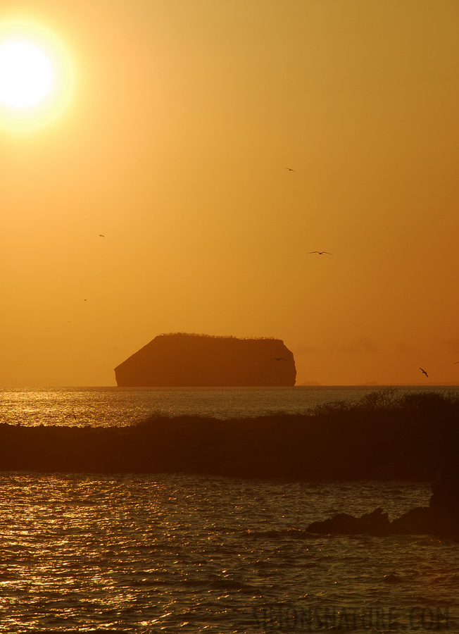 North Seymour Island [150 mm, 1/160 sec at f / 16, ISO 100]